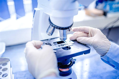 Microscope testing in the MAXCLEAN laboratory