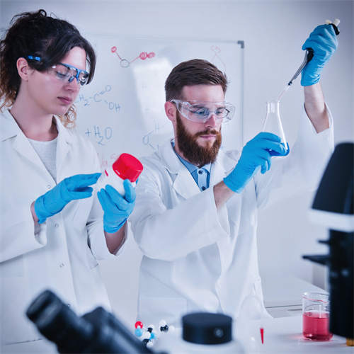 MAXCLEAN research team developing new processes