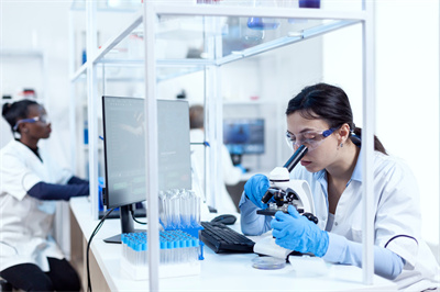 Cleanroom Hairnet
